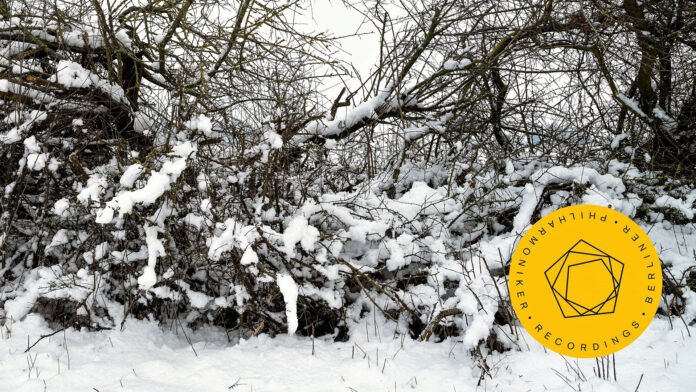 Rachmaninoff piano concerto 2 gerstein petrenko