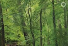 Dvorak, Symphonies 7, 8, 9, Bychkov/Czech Philharmonic Orchestra Dvorak symphonies Bychkov review