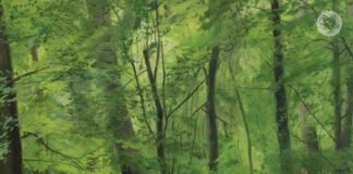 Dvorak, Symphonies 7, 8, 9, Bychkov/Czech Philharmonic Orchestra Dvorak symphonies Bychkov review