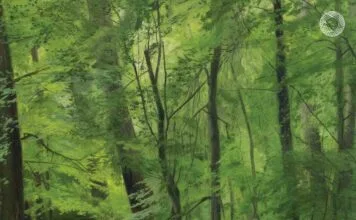 Dvorak symphonies Bychkov review